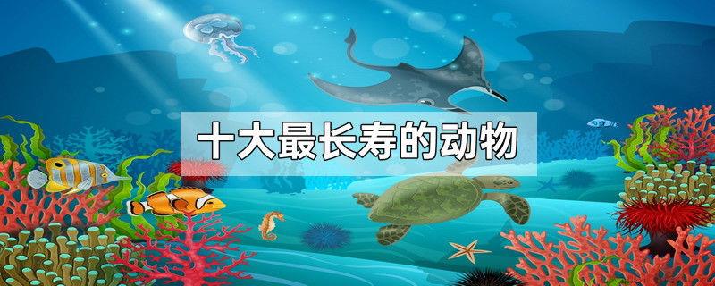 十大最长寿的动物