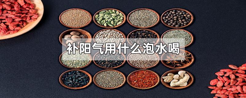 补阳气用什么泡水喝