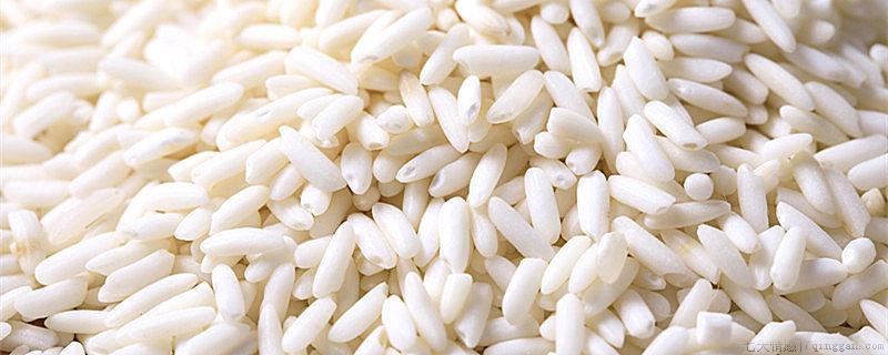 粘米是什么米
