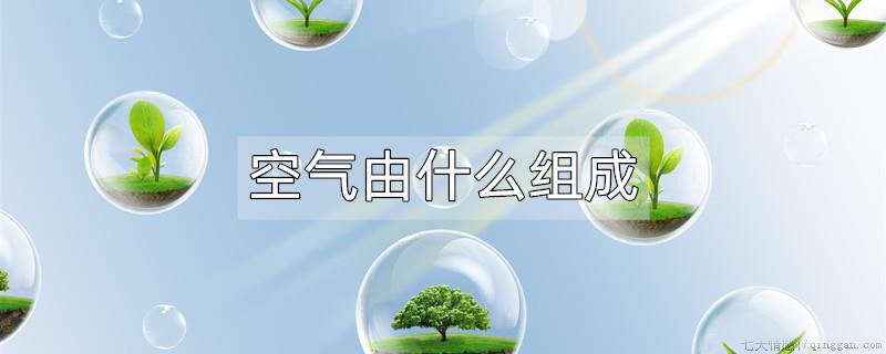 空气由什么组成