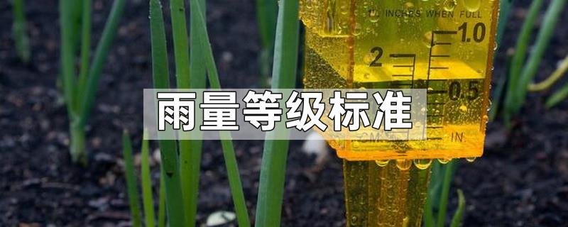雨量等级标准