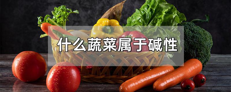 什么蔬菜属于碱性