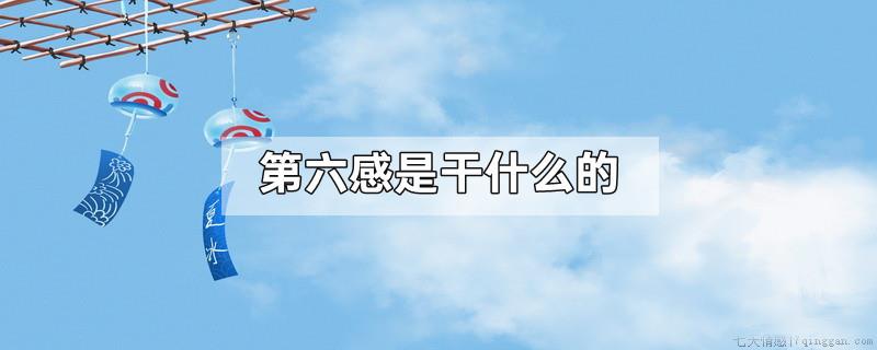 第六感是干什么的