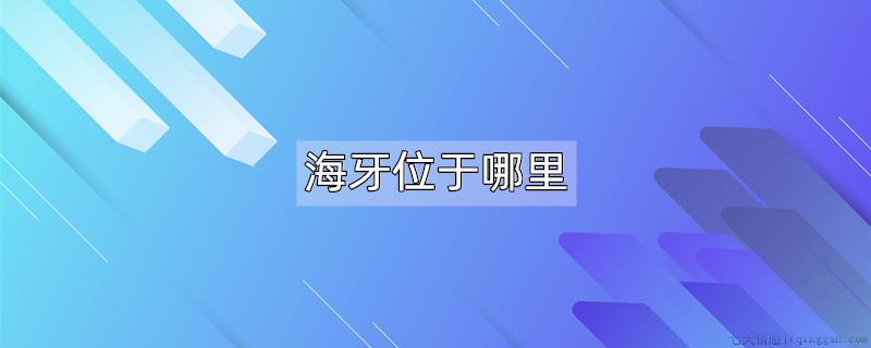 海牙位于哪里