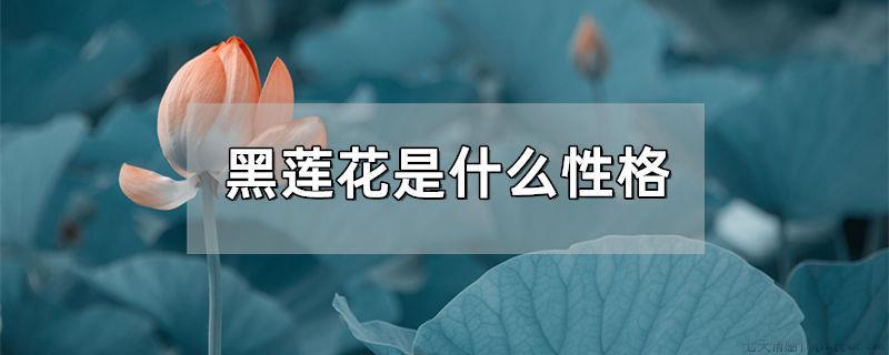 黑莲花是什么性格