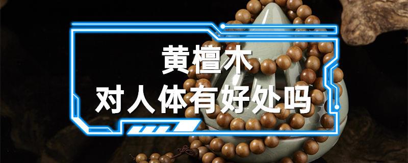 黄檀木对人体有好处吗