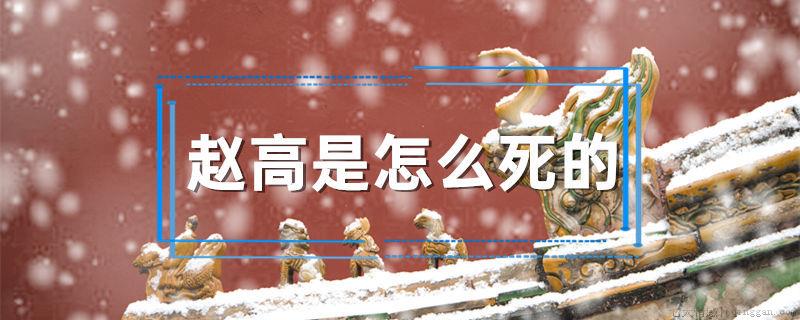 赵高又是怎么死的