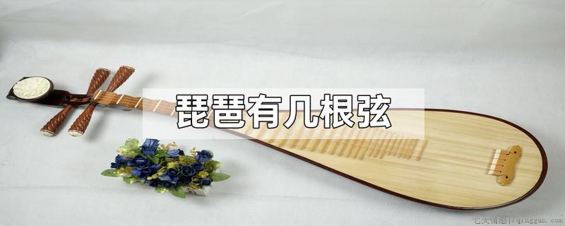 琵琶有几根弦