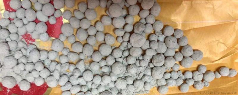 施肥后需要立刻浇水吗