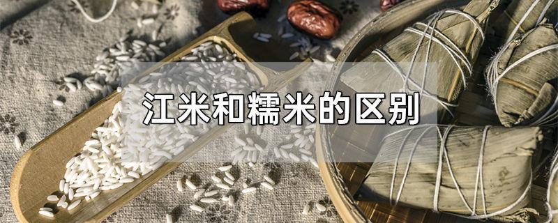江米和糯米的区别