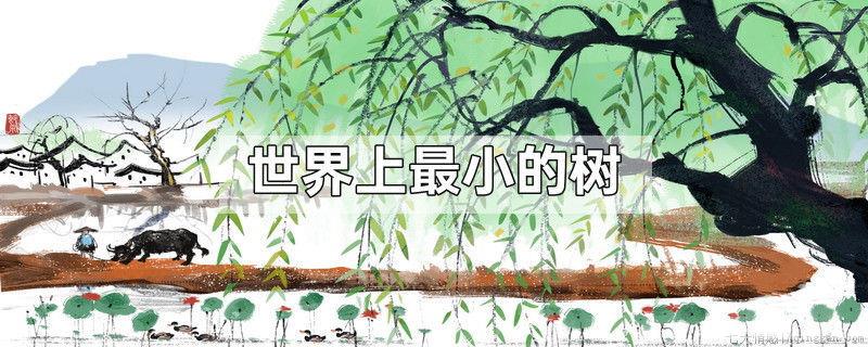 世界上最小的树