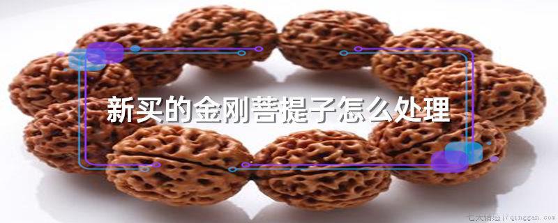 新买的金刚菩提子怎么处理