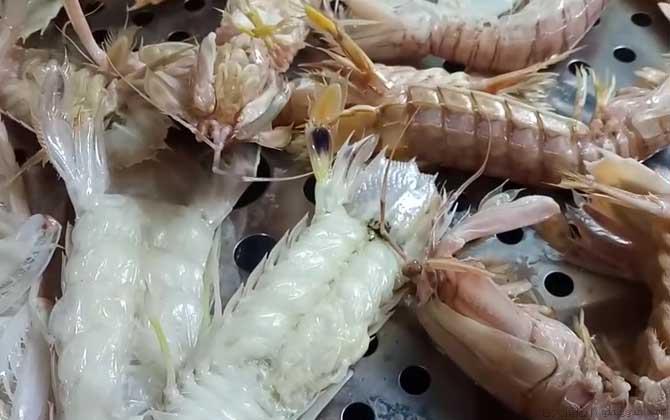 孕妇能吃皮皮虾吗