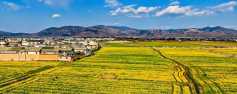 农业用地和建设用地的区别