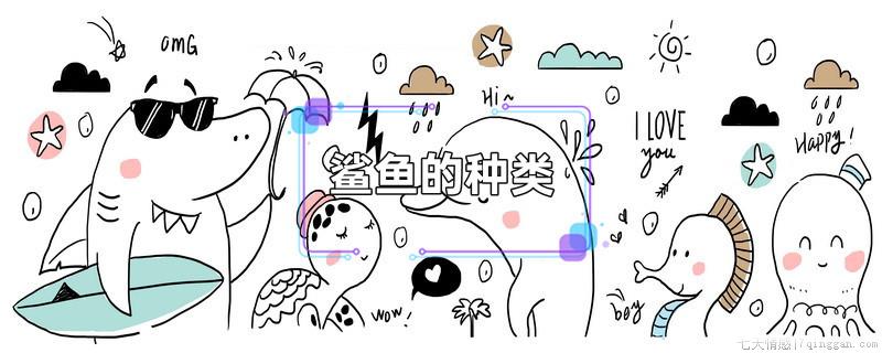 鲨鱼的种类
