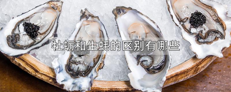 牡蛎和生蚝的区别有哪些