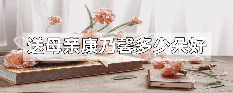 送母亲康乃馨多少朵好