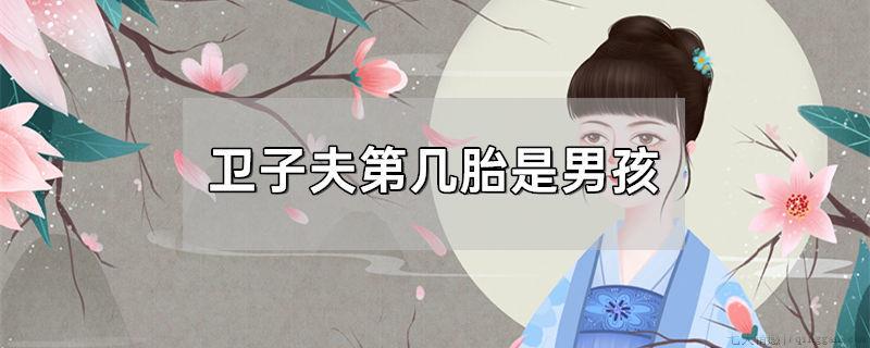卫子夫第几胎是男孩