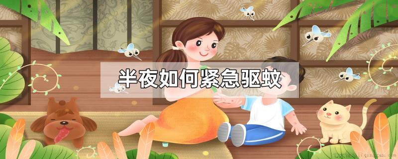 半夜如何紧急驱蚊