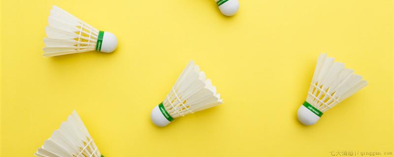 羽毛球上有多少根羽毛