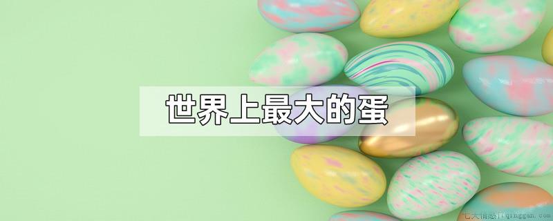世界上最大的蛋