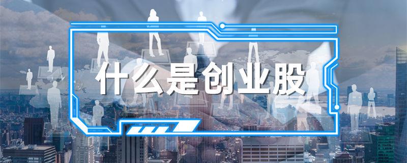 什么是创业股