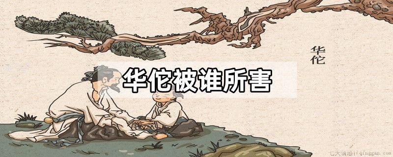 华佗被谁所害