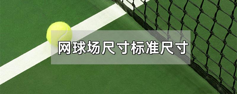 网球场尺寸标准尺寸