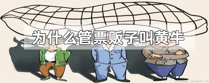 为什么管票贩子叫黄牛