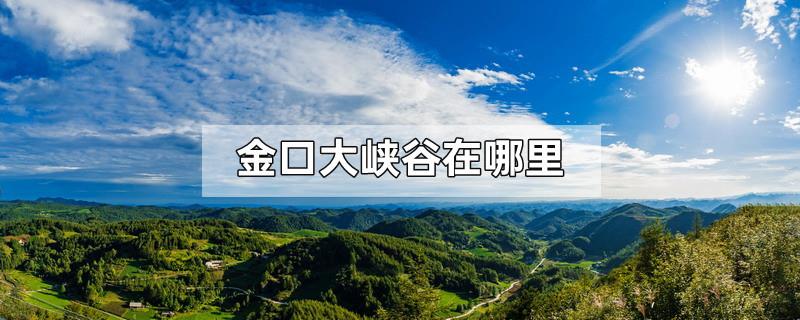 金口大峡谷在哪里