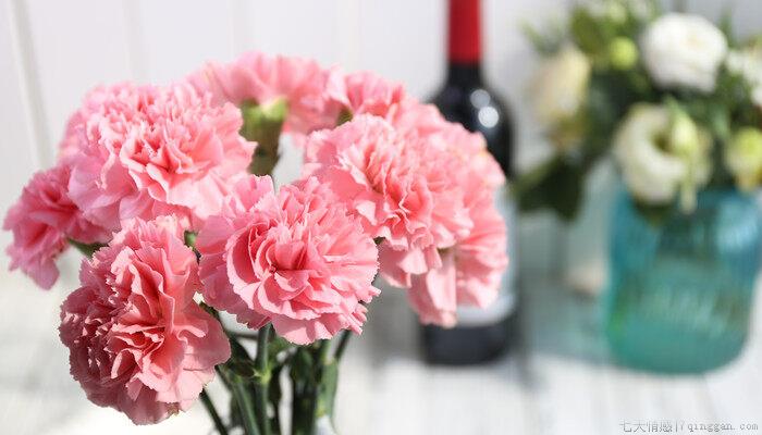 送老师的花束怎么搭配几朵