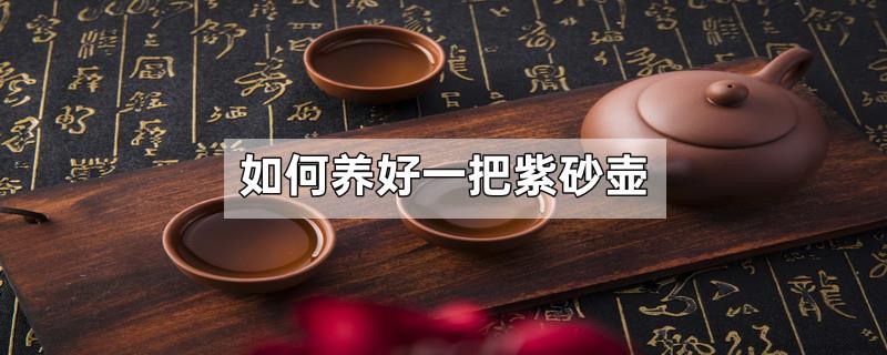 如何养好一把紫砂壶