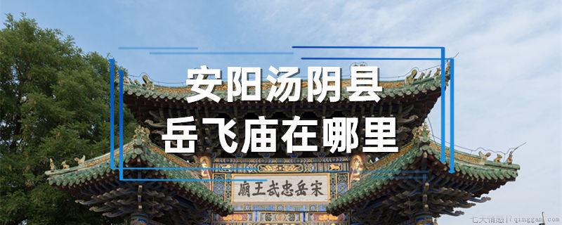 安阳汤阴县岳飞庙在哪里