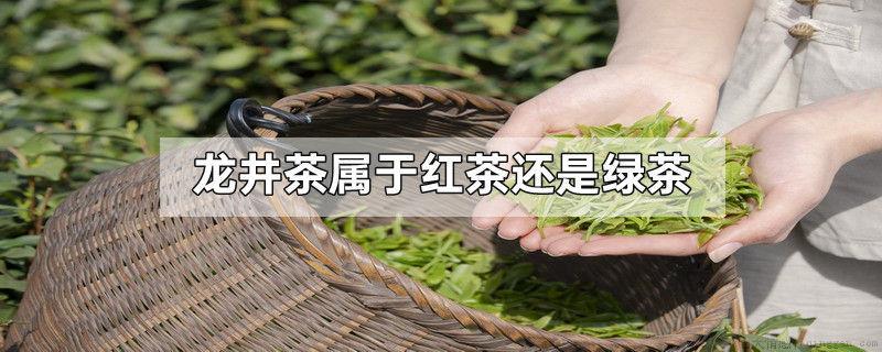 龙井茶属于红茶还是绿茶
