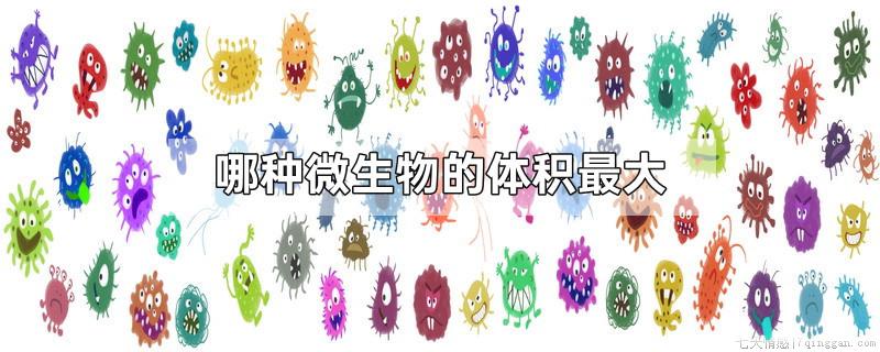 哪种微生物的体积最大