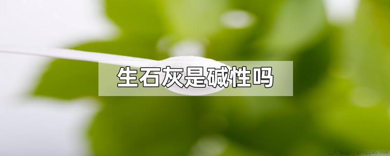 生石灰是碱性吗
