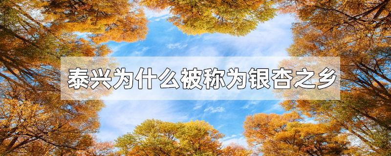 泰兴为什么被称为银杏之乡
