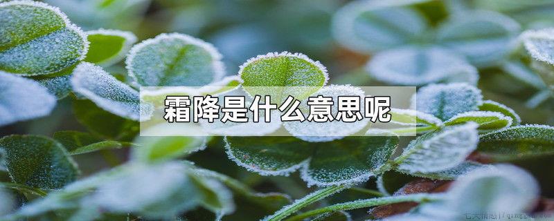 霜降是什么意思呢
