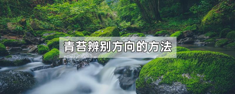 青苔辨别方向的方法