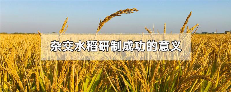 杂交水稻研制成功的意义