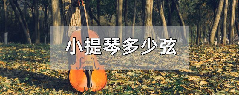 小提琴多少弦