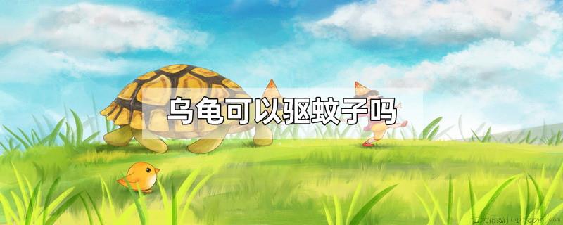 乌龟可以驱蚊子吗