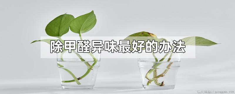 除甲醛异味最好的办法