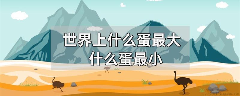 世界上什么蛋最大什么蛋最小