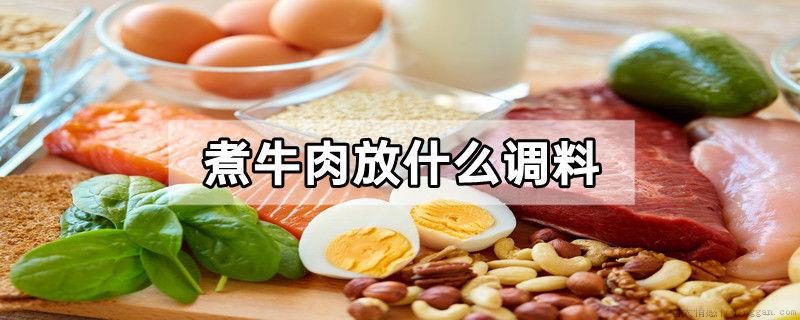 煮牛肉放什么调料