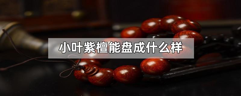 小叶紫檀能盘成什么样