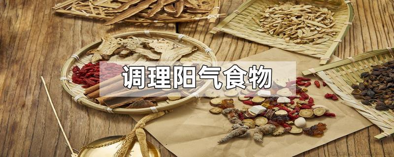 调理阳气食物
