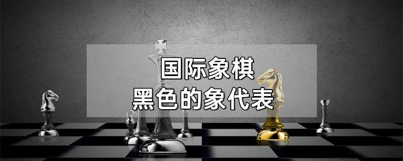 国际象棋黑色的象代表