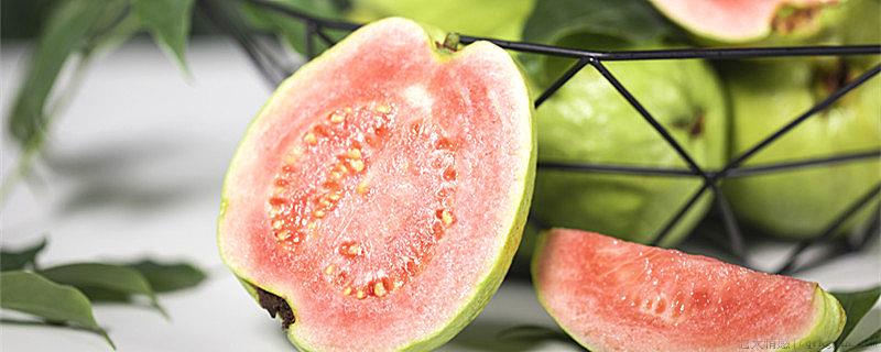 番石榴的籽能吃吗