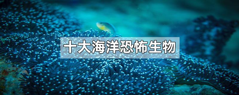 十大海洋恐怖生物